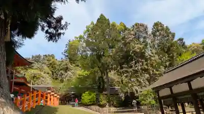 春日大社(奈良県)