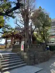 大鳥神社の自然