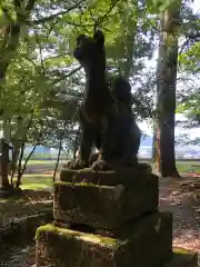 有子山稲荷神社の狛犬