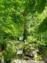 石都々古和気神社の自然