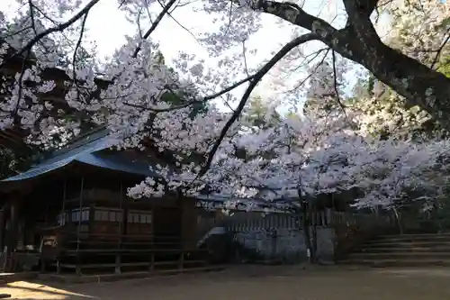 土津神社｜こどもと出世の神さまの本殿・本堂