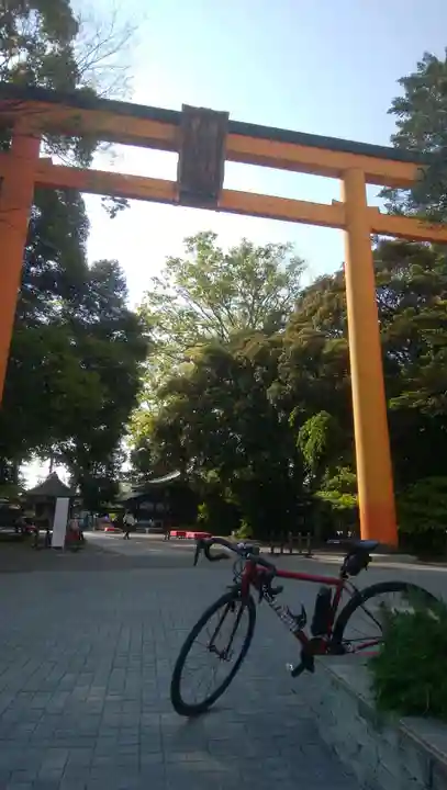 川越氷川神社の鳥居