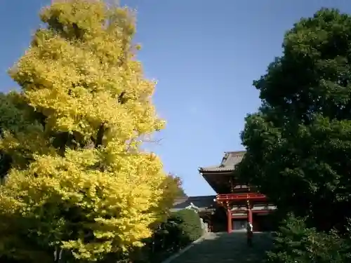 鶴岡八幡宮のその他建物