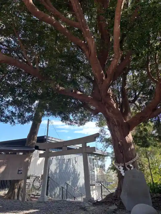 玉前神社の{uncategorized: "未分類", other: "その他", undefined: "問題あり", building: "その他建物", grave: "お墓", sacred_gate: "鳥居", guardian: "狛犬", statue: "像", buddha: "仏像", history: "歴史", nature: "自然", garden: "庭園", animal: "動物", pagoda: "塔", temizu: "手水舎", mountain_gate: "山門・神門", sanctuary: "本殿・本堂", subordinate: "末社・摂社", art: "芸術", scenery: "景色", jizo: "地蔵", ema: "絵馬", goshuin: "御朱印", omikuji: "おみくじ", items: "授与品その他", amulet: "お守り", goshuincho: "御朱印帳", eats: "食事", festival: "お祭り", votive_dance: "神楽", shichigosan: "七五三参", wedding: "結婚式", experience: "体験その他", initially: "初詣", around: "周辺", anti_infection: "感染症対策"}