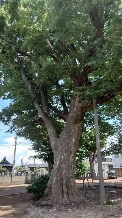 春日神社(山形県)
