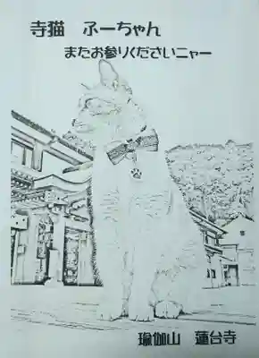 瑜伽山蓮台寺の授与品その他