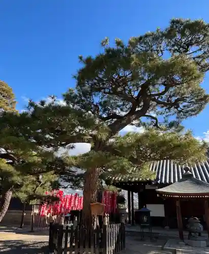 葛井寺の{uncategorized: "未分類", other: "その他", undefined: "問題あり", building: "その他建物", grave: "お墓", sacred_gate: "鳥居", guardian: "狛犬", statue: "像", buddha: "仏像", history: "歴史", nature: "自然", garden: "庭園", animal: "動物", pagoda: "塔", temizu: "手水舎", mountain_gate: "山門・神門", sanctuary: "本殿・本堂", subordinate: "末社・摂社", art: "芸術", scenery: "景色", jizo: "地蔵", ema: "絵馬", goshuin: "御朱印", omikuji: "おみくじ", items: "授与品その他", amulet: "お守り", goshuincho: "御朱印帳", eats: "食事", festival: "お祭り", votive_dance: "神楽", shichigosan: "七五三参", wedding: "結婚式", experience: "体験その他", initially: "初詣", around: "周辺", anti_infection: "感染症対策"}