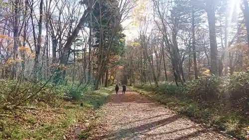 戸隠神社奥社の周辺