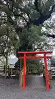 蒲生八幡神社(鹿児島県)