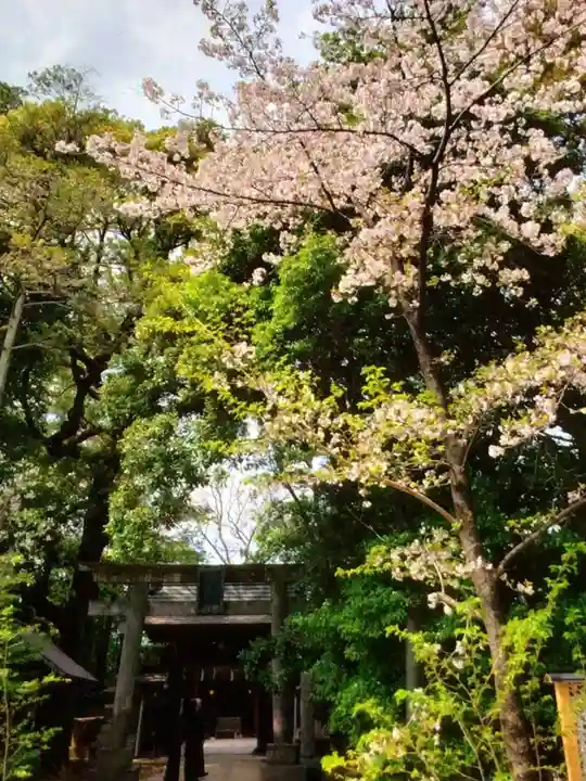 赤坂氷川神社(東京都)