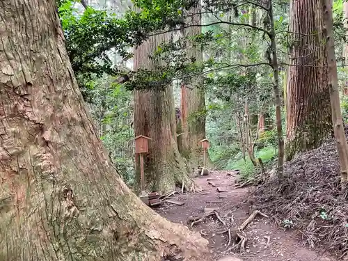 幣立神宮(熊本県)