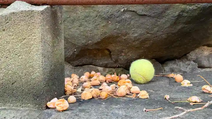 亀田八幡宮(北海道)