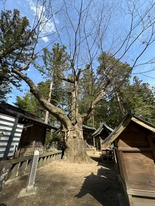 穂高神社本宮(長野県)