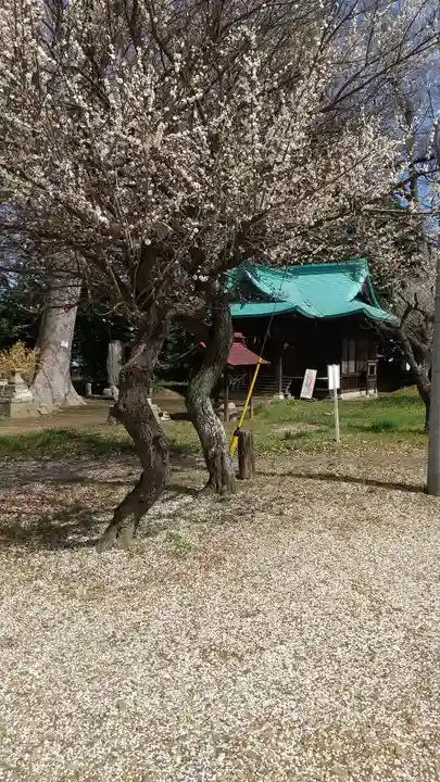 酒門神社の自然