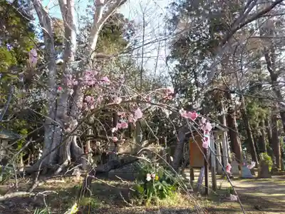 稲荷神社の自然
