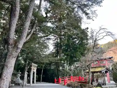 天河大辨財天社の{uncategorized: "未分類", other: "その他", undefined: "問題あり", building: "その他建物", grave: "お墓", sacred_gate: "鳥居", guardian: "狛犬", statue: "像", buddha: "仏像", history: "歴史", nature: "自然", garden: "庭園", animal: "動物", pagoda: "塔", temizu: "手水舎", mountain_gate: "山門・神門", sanctuary: "本殿・本堂", subordinate: "末社・摂社", art: "芸術", scenery: "景色", jizo: "地蔵", ema: "絵馬", goshuin: "御朱印", omikuji: "おみくじ", items: "授与品その他", amulet: "お守り", goshuincho: "御朱印帳", eats: "食事", festival: "お祭り", votive_dance: "神楽", shichigosan: "七五三参", wedding: "結婚式", experience: "体験その他", initially: "初詣", around: "周辺", anti_infection: "感染症対策"}