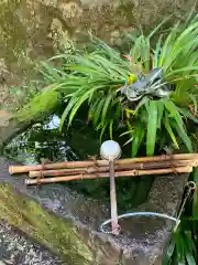 武田神社の手水