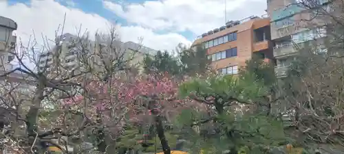 湯島天満宮の庭園