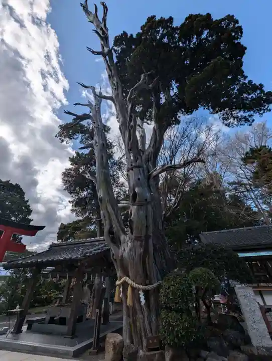 伊古奈比咩命神社(静岡県)