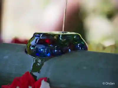 岡寺(龍蓋寺)(奈良県)