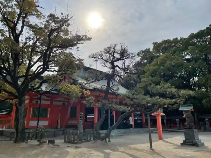 住吉神社(福岡県)