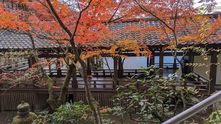 禅林寺(永観堂)(京都府)