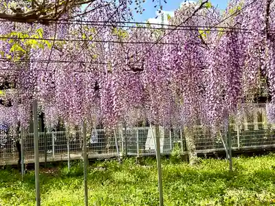 岩田神社(香川県)