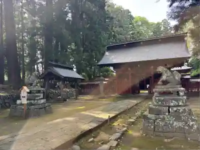 都々古別神社(八槻)の狛犬
