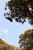 八桙神社(徳島県)