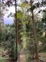 北野神社の自然