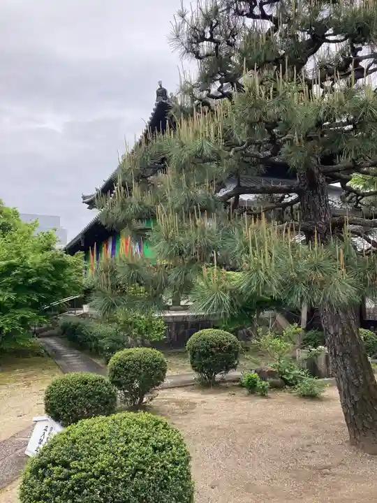 興聖寺(京都府)