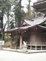 須山浅間神社の本殿・本堂