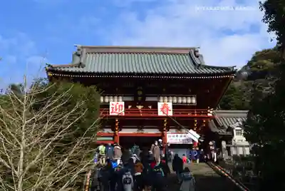 鶴岡八幡宮(神奈川県)