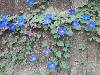 宝厳寺(愛媛県)