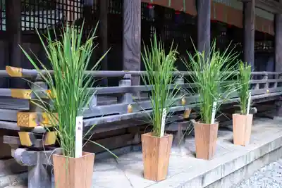 諏訪大社下社春宮(長野県)