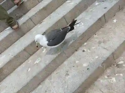 蕪嶋神社(青森県)