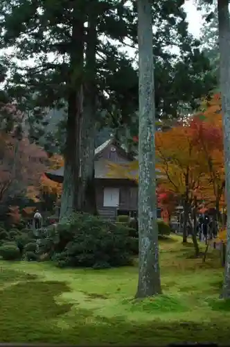 三千院門跡の建物その他