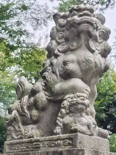 上高田氷川神社の狛犬