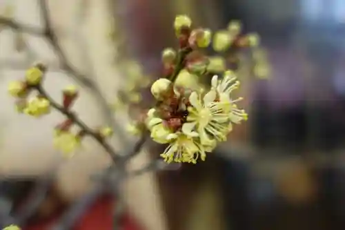 菅原天満宮（菅原神社）の自然