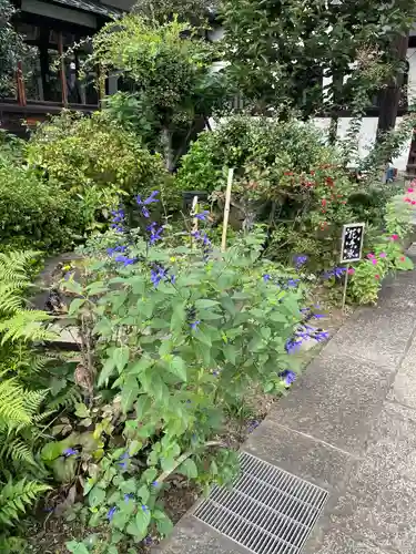 一乗寺(東京都)