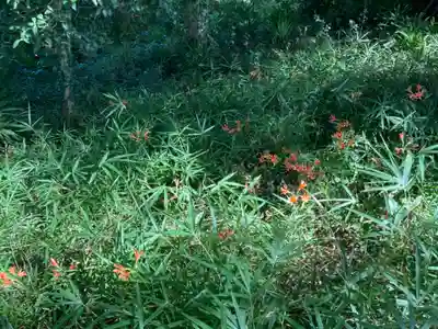 蛟蝄神社門の宮(茨城県)