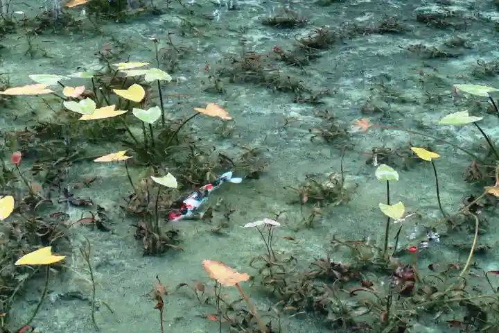 根道神社(岐阜県)