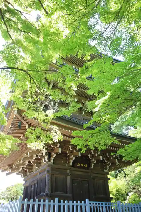 道場寺のその他建物