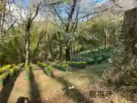 龍福寺 鳥羽堂観音(長野県)