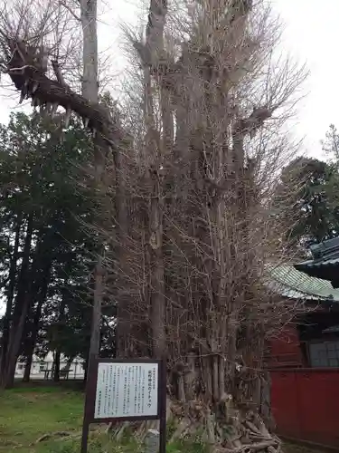 荻野神社(神奈川県)