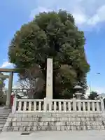 石濱神社(東京都)