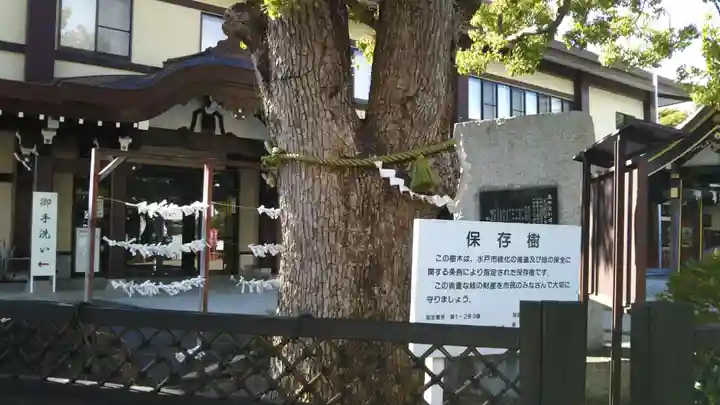 水戸東照宮の自然