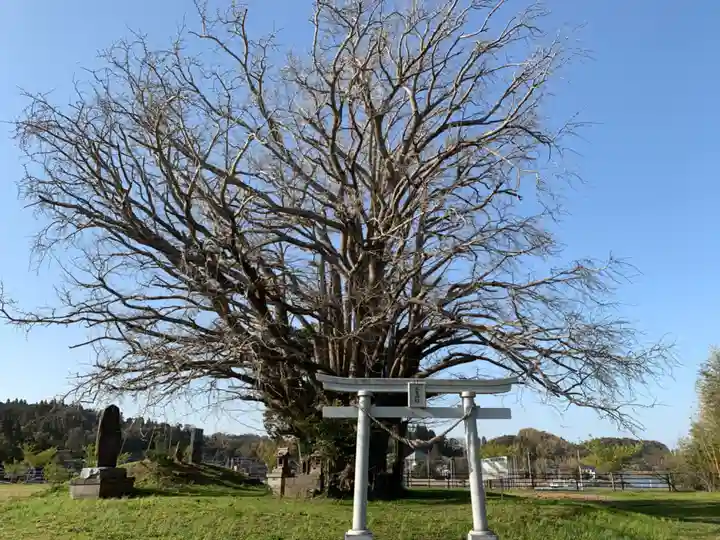 三峯神社の自然