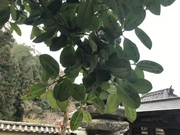 法起院(奈良県)