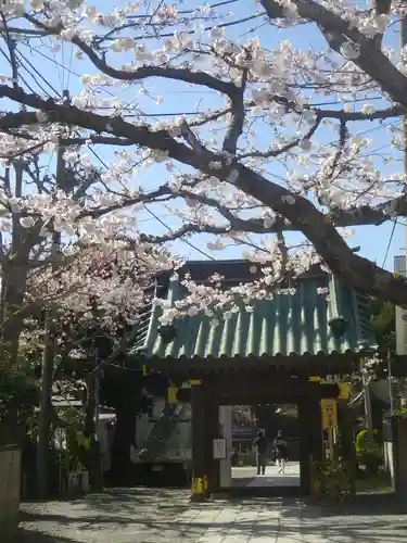 妙隆寺の山門